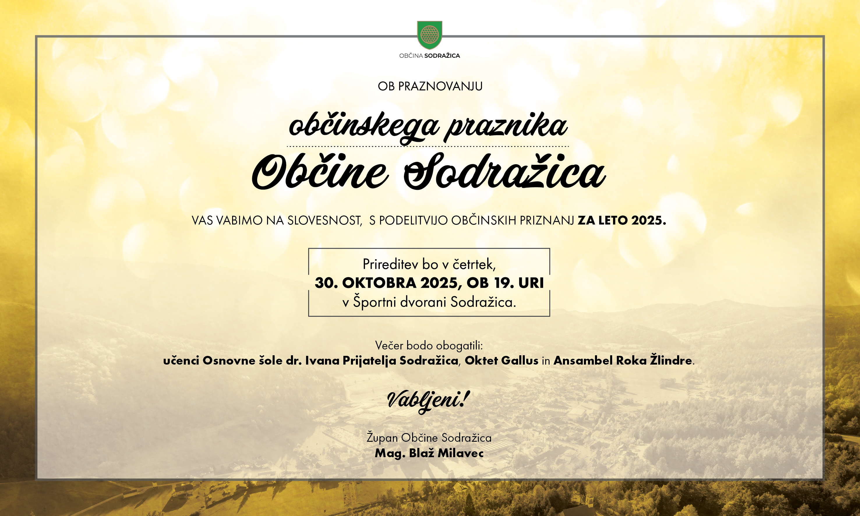 vabilo internet