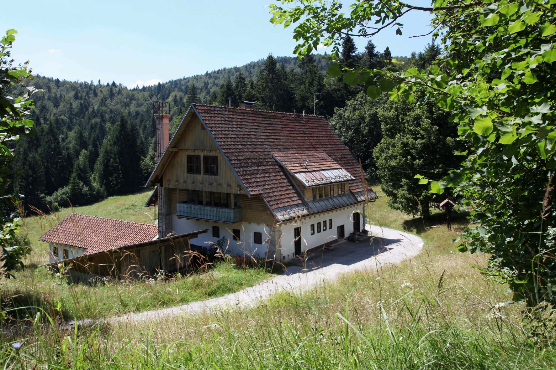 travna gora