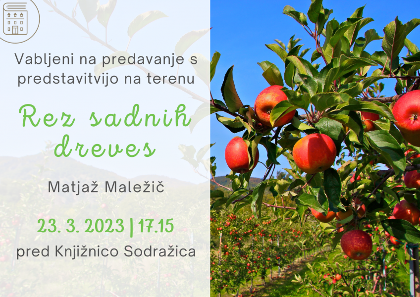 Rez_sadnih_dreves