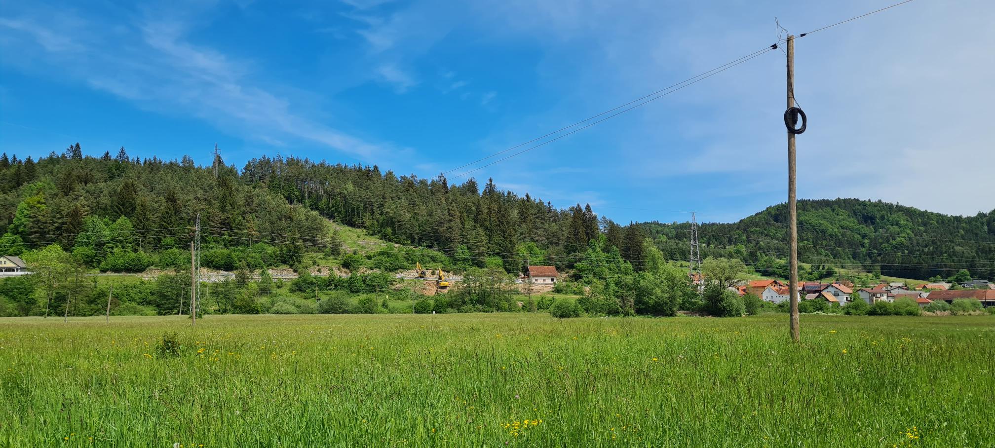 zamostec